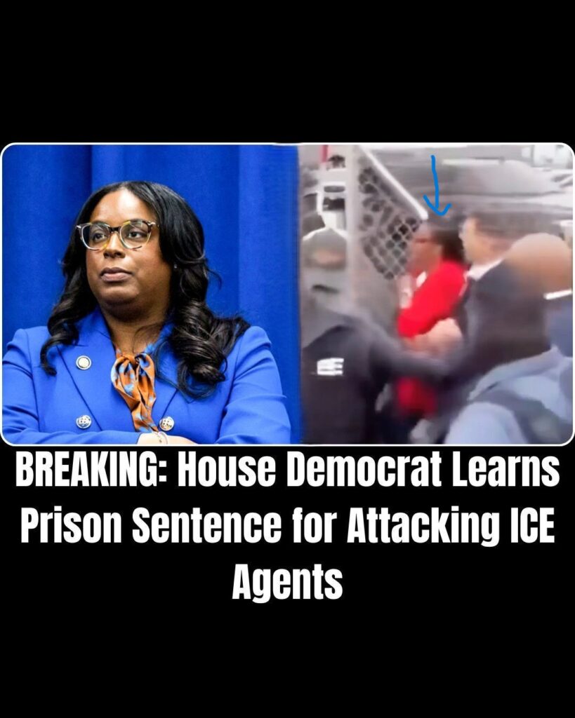 House Democrat Faces Up to 17 Years in Prison Over Clash at ICE Facility !