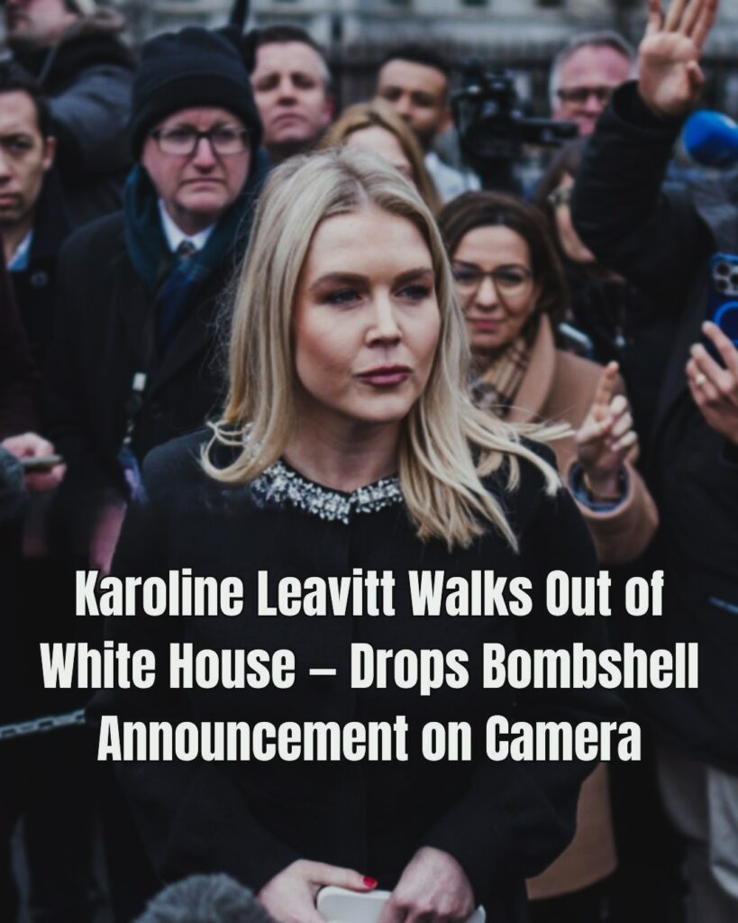 Leavitt Slams Democrats for Backing Radical Left Agenda !