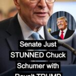 Liberal Unions Willing to Endure Major Hardship to Undermine Trump During Shutdown !