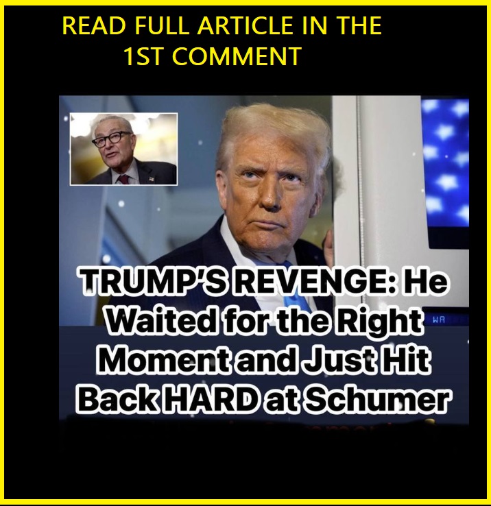 Schumer Offers ‘Deal’ To Reopen Government But It Won’t Fly With GOP