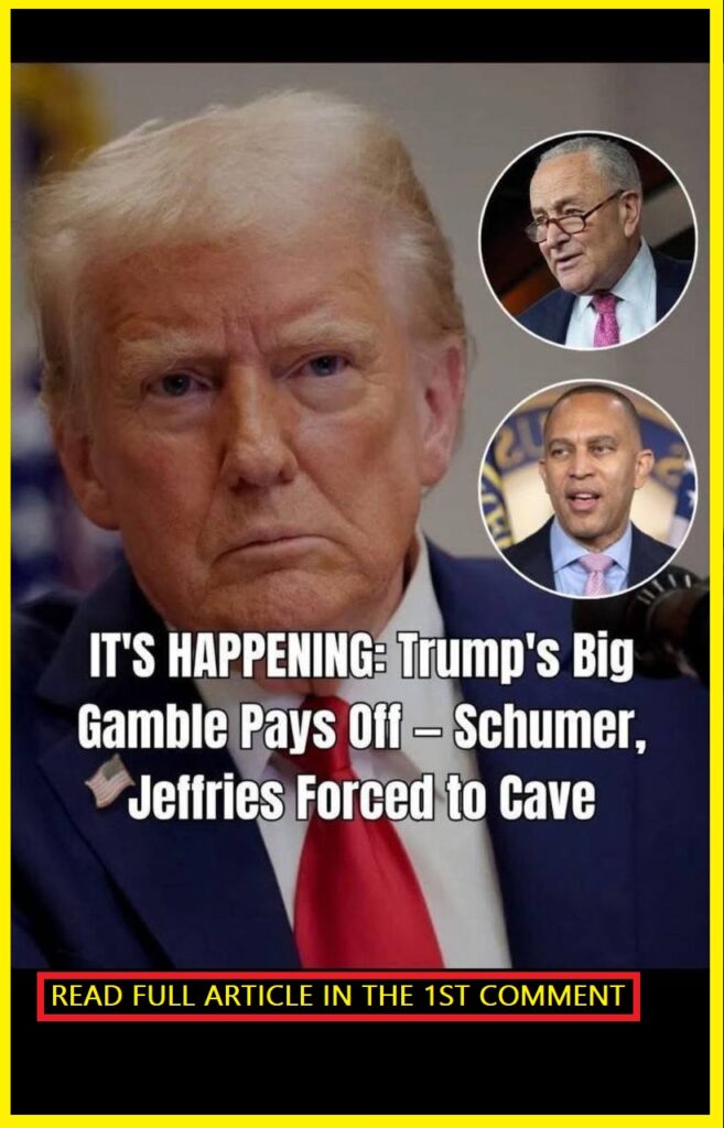 Americans Rip Democrats For Clinging to ‘Schumer Shutdown’