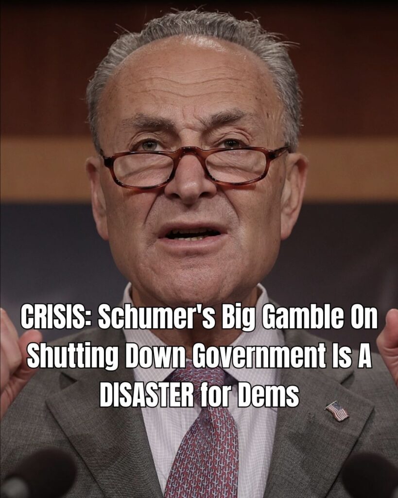 Airline CEOs Rip Democrats For Keeping Govt. Closed