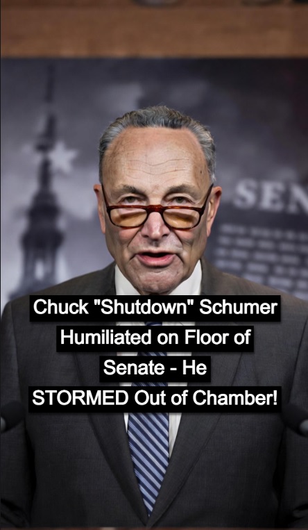 Schumer Backs Down After GOP Senator Challenges Him on Obamacare ‘Fix’