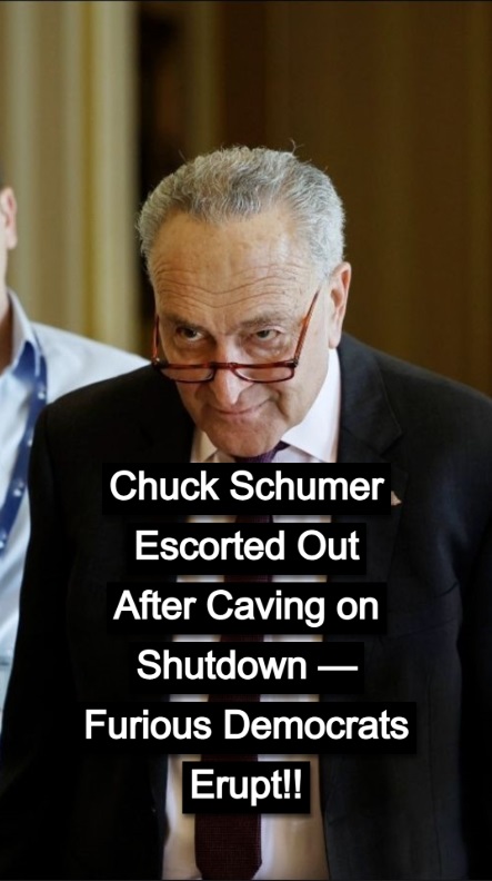 Schumer Confronts Democratic Backlash Following Government Shutdown Agreement !
