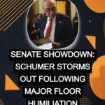 GOP Confrontation Forces Schumer to Step Back on Obamacare Adjustment !